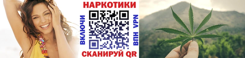 Бошки Шишки Плёс