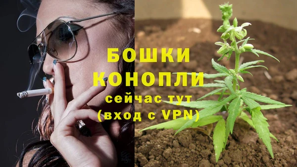 марихуана Белокуриха