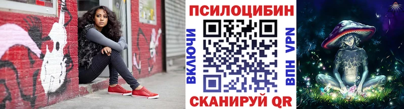 Галлюциногенные грибы Psilocybe  omg ссылка  Плёс  сколько стоит 