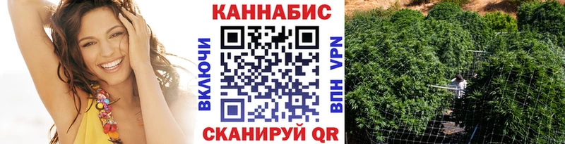 Каннабис MAZAR  Плёс 